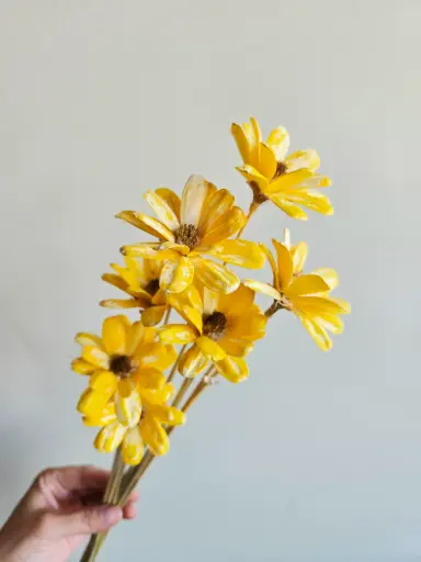 Yellow/ Sola Wood Petite Flower