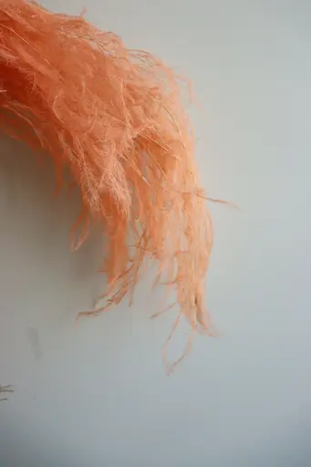 Orange/Chinese Alpine Rush